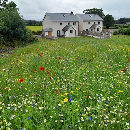 Myddfai Family Country Cottage With Stunning Mountain Views מראה חיצוני תמונה