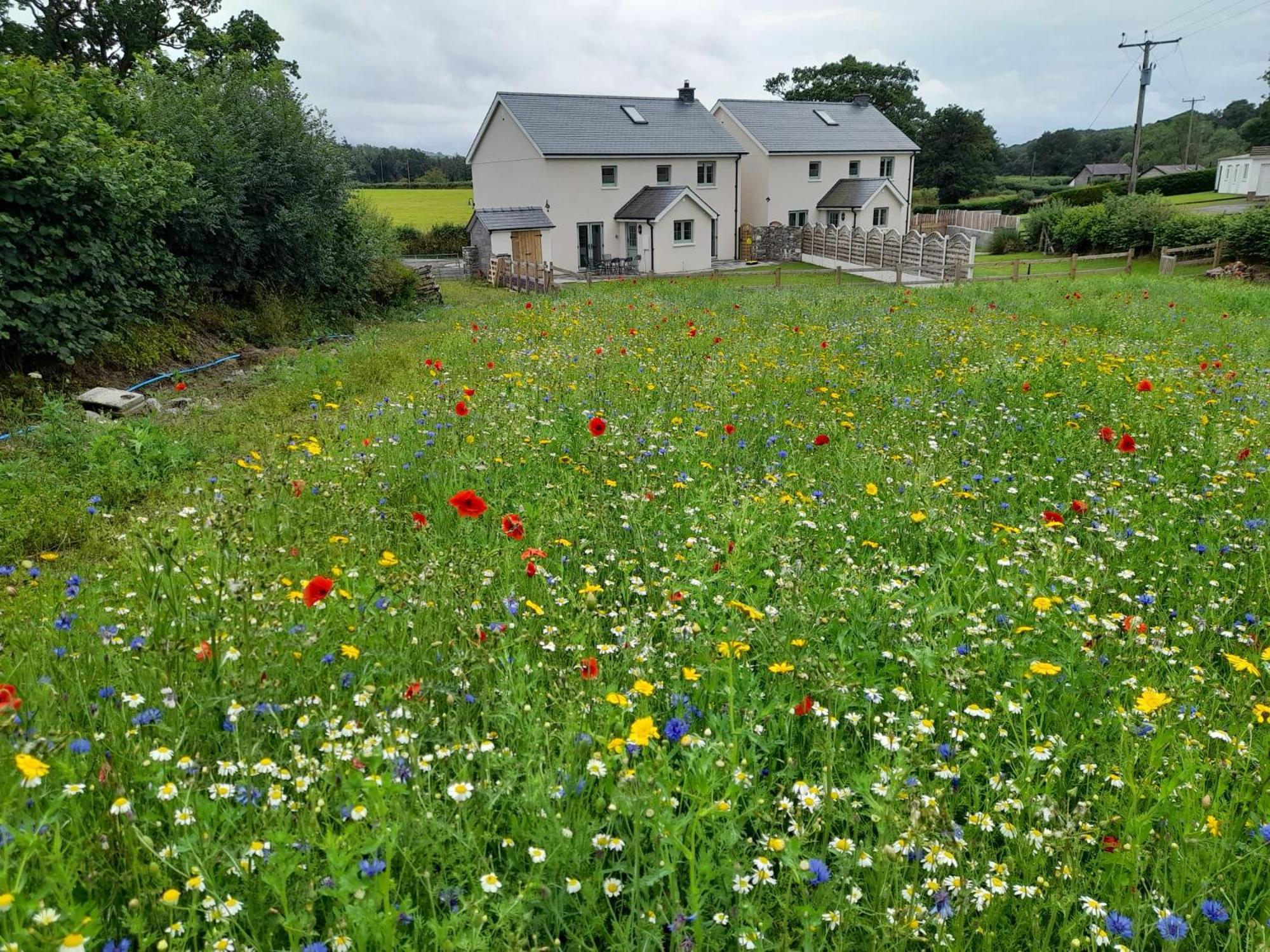 Myddfai Family Country Cottage With Stunning Mountain Views מראה חיצוני תמונה